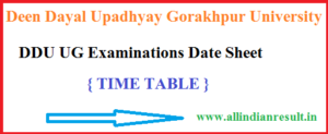 DDU BSc 2nd Year Time Table 2023 DDU Gorakhpur University Time Table PDF