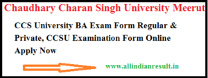 CCS University BA 1st Year Exam Form 2023 Regular & Private CCSU Examination Form Online