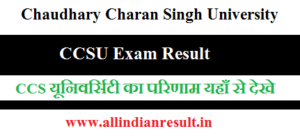 CCS University Bsc 1st Year Result 2023 Download CCSU Bsc Part 1st Exam Result