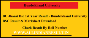 BU Jhansi Bsc 1st Year Result 2023 - Bundelkhand University BSC Result & Marksheet Download