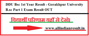 DDU Bsc 1st Year Result 2024 - Gorakhpur University B.sc Part 1 Exam Result OUT