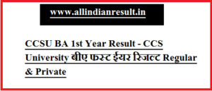 CCSU BA 1st Year Result 2024 - CCS University बीए फस्ट ईयर रिजल्ट Regular & Private