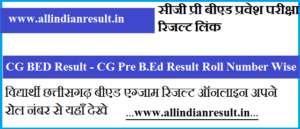 CG BED Result 2023 CG Pre B.Ed Result Name Wise vyapam.cgstate.gov.in