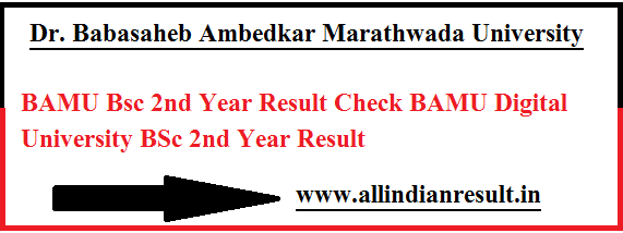 BAMU Bsc 2nd Year Result 2024 Check BAMU Digital University BSc 2nd ...