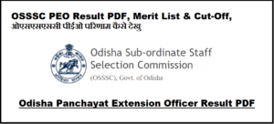 OSSSC PEO Result 2023 PDF, Merit List & Cut-Off, ओएसएसएससी पीईओ परिणाम 2023 कैसे देखु